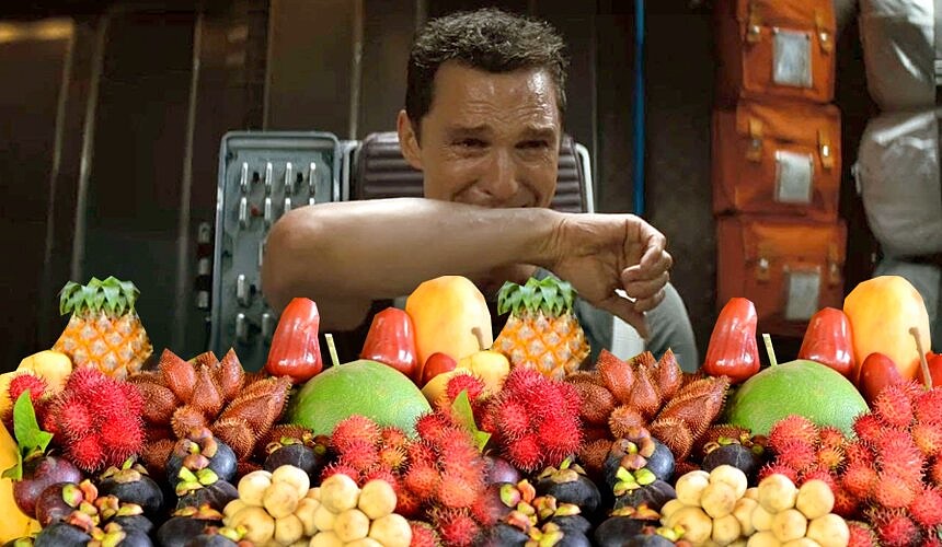 На российских туристов наложили фруктовые ограничения