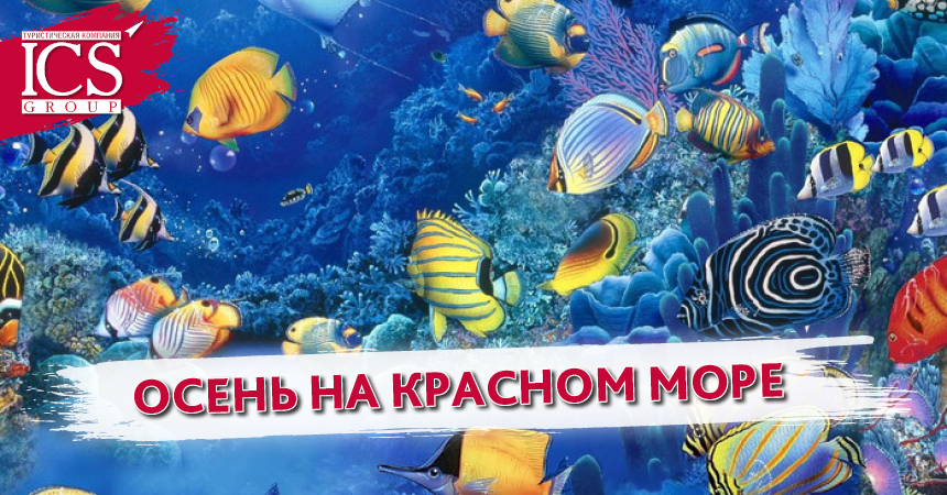 860x450.jpg 860x450.jpg