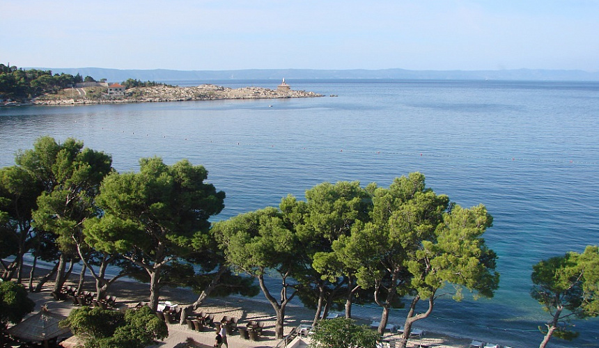 Акция «Шок-цена». Скидки до 50 %!